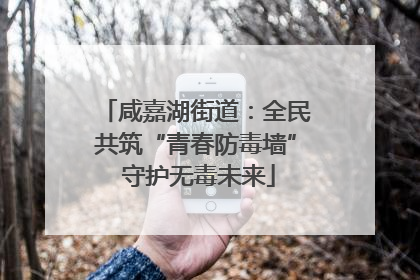 咸嘉湖街道：全民共筑“青春防毒墙” 守护无毒未来