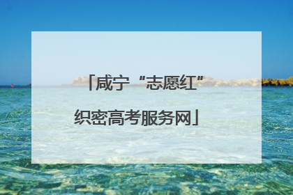 咸宁“志愿红”织密高考服务网