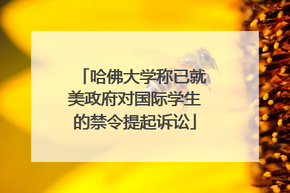哈佛大学称已就美政府对国际学生的禁令提起诉讼