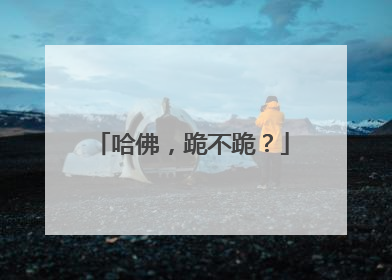 哈佛，跪不跪？