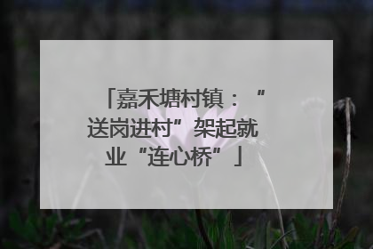 嘉禾塘村镇：“送岗进村”架起就业“连心桥”