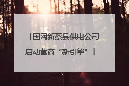 国网新蔡县供电公司启动营商“新引擎”