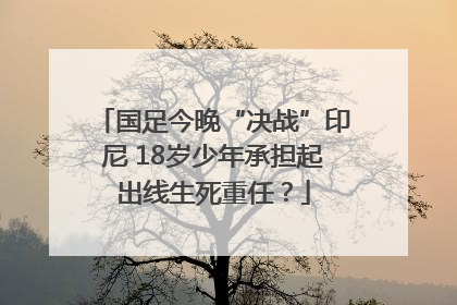 国足今晚“决战”印尼 18岁少年承担起出线生死重任？