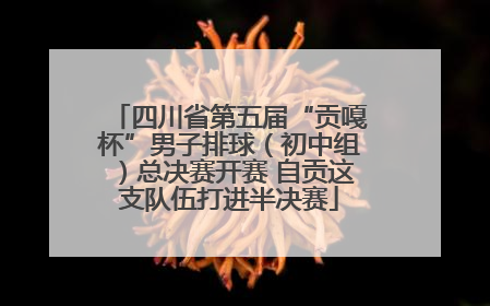 四川省第五届“贡嘎杯”男子排球（初中组）总决赛开赛 自贡这支队伍打进半决赛
