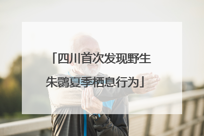 四川首次发现野生朱鹮夏季栖息行为