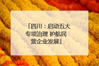 四川：启动五大专项治理 护航民营企业发展