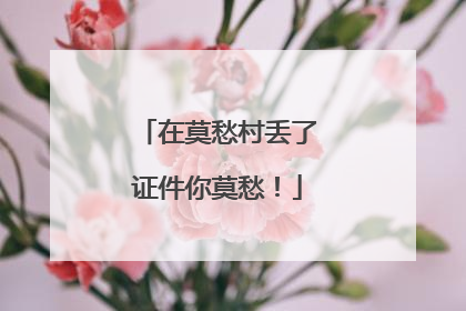 在莫愁村丢了证件你莫愁！