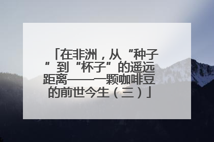 在非洲，从“种子”到“杯子”的遥远距离——一颗咖啡豆的前世今生（三）