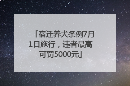宿迁养犬条例7月1日施行，违者最高可罚5000元