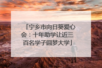 宁乡市向日葵爱心会：十年助学让近三百名学子圆梦大学