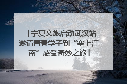 宁夏文旅启动武汉站 邀请青春学子到“塞上江南”感受奇妙之旅