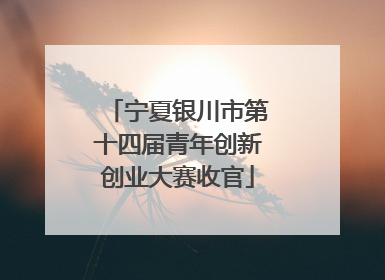 宁夏银川市第十四届青年创新创业大赛收官