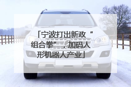 宁波打出新政“组合拳”，加码人形机器人产业