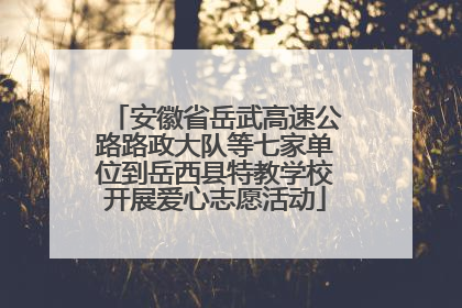 安徽省岳武高速公路路政大队等七家单位到岳西县特教学校开展爱心志愿活动