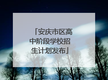 安庆市区高中阶段学校招生计划发布