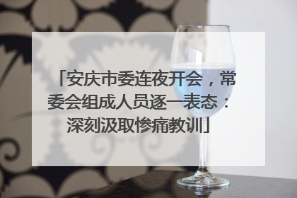 安庆市委连夜开会，常委会组成人员逐一表态：深刻汲取惨痛教训