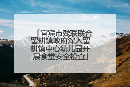 宜宾市残联联合留耕镇政府深入留耕镇中心幼儿园开展食堂安全检查