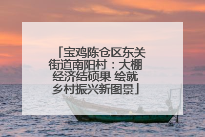 宝鸡陈仓区东关街道南阳村：大棚经济结硕果 绘就乡村振兴新图景