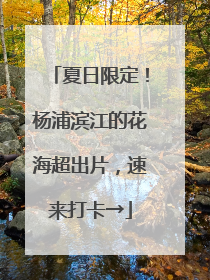 夏日限定！杨浦滨江的花海超出片，速来打卡→