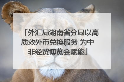 外汇局湖南省分局以高质效外币兑换服务 为中非经贸博览会赋能