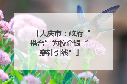 大庆市：政府“搭台”为校企银“穿针引线”