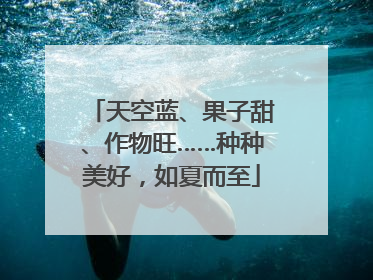 天空蓝、果子甜、作物旺……种种美好，如夏而至