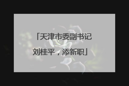 天津市委副书记刘桂平，添新职