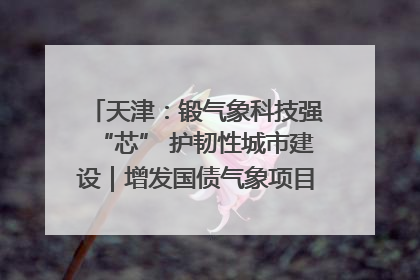 天津：锻气象科技强“芯” 护韧性城市建设｜增发国债气象项目落地见效系列报道