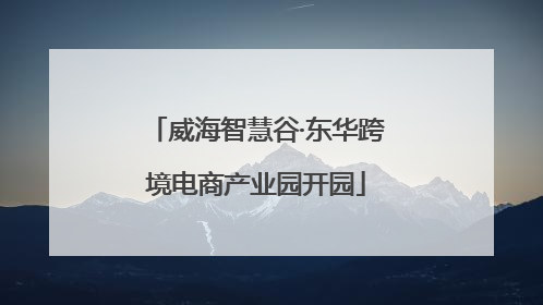 威海智慧谷·东华跨境电商产业园开园