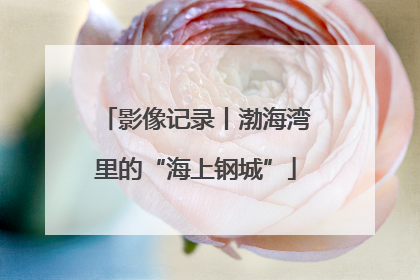 影像记录丨渤海湾里的“海上钢城”