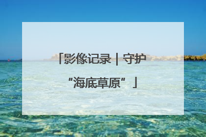 影像记录｜守护“海底草原”
