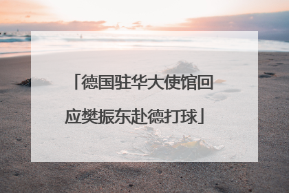 德国驻华大使馆回应樊振东赴德打球