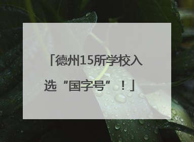 德州15所学校入选“国字号”！