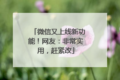 微信又上线新功能！网友：非常实用，赶紧改