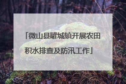 微山县驩城镇开展农田积水排查及防汛工作