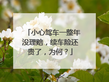 小心驾车一整年没理赔，续车险还贵了，为何？