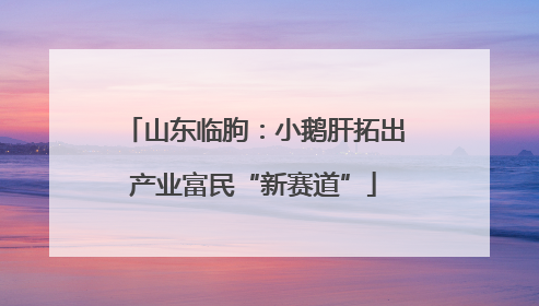 山东临朐：小鹅肝拓出产业富民“新赛道”