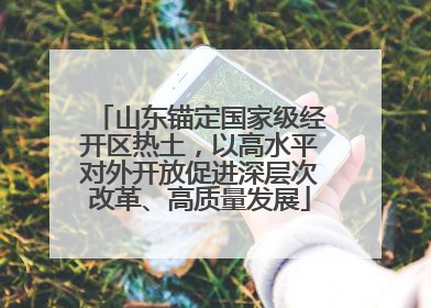 山东锚定国家级经开区热土，以高水平对外开放促进深层次改革、高质量发展