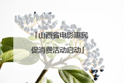 山西省电影惠民促消费活动启动