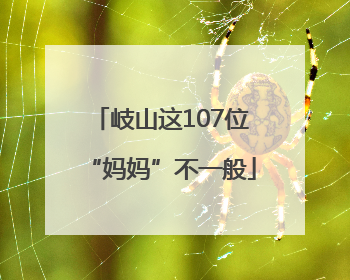岐山这107位“妈妈”不一般