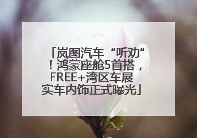 岚图汽车“听劝”！鸿蒙座舱5首搭，FREE+湾区车展实车内饰正式曝光