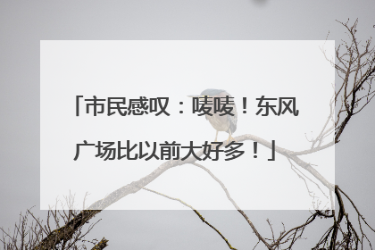 市民感叹：唛唛！东风广场比以前大好多！