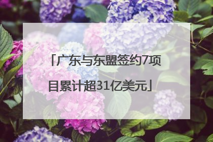 广东与东盟签约7项目累计超31亿美元