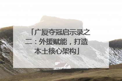 广厦夺冠启示录之二：外援赋能，打造本土核心架构