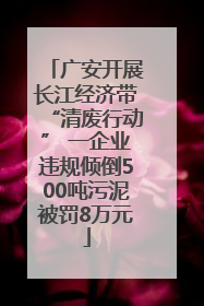 广安开展长江经济带“清废行动” 一企业违规倾倒500吨污泥被罚8万元