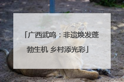 广西武鸣：非遗焕发蓬勃生机 乡村添光彩