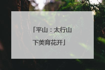 平山：太行山下美育花开