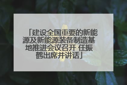 建设全国重要的新能源及新能源装备制造基地推进会议召开 任振鹤出席并讲话