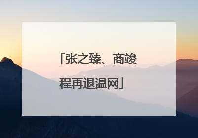 张之臻、商竣程再退温网