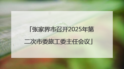 张家界市召开2025年第二次市委旅工委主任会议